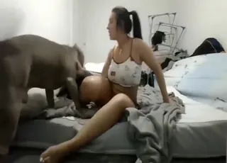 Doggystyle dog sex scene with amateur hoe.mp4