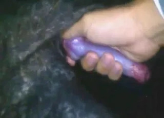 Dude Jerks Off His Pet Dog In A Fun Zoo Sex Clip