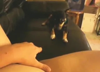 Female Masturbating While Dog Eats Her Out