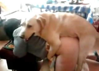 Frumpy chick violated by a dog