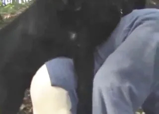 Happy Dog Gets Plowed By This Mofo Zoo Sex Tube HD Clip animal sex