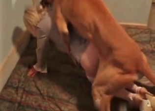 Hardcore dog fucking exquisite babe