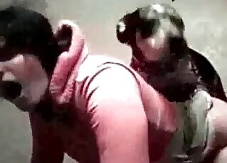Homemade zoo porn featuring nasty brunette that enjoys sex with dog