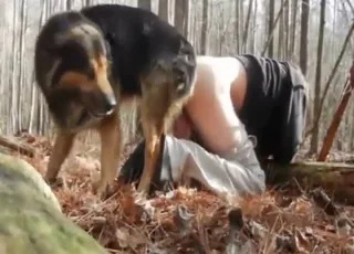 Horny Dog Fucks Guy in Ass from Behind animal sex Zoo Tube HD Clip