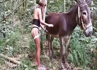 Horny women get fucked by a horse in this zoo sex scene.mp4