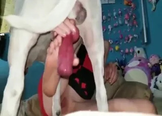 Masked Cuck Watches GF Get Filled by Dog