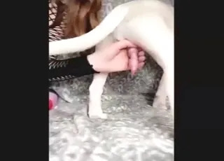 Sloppy Kiss Between Girl in Black and Dog