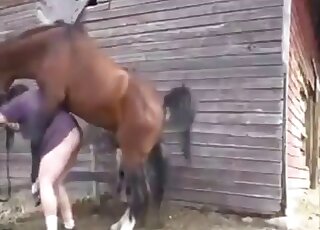 Stallion invades that tight hole from behind