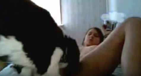 Trained animal fucks around with a horny gal