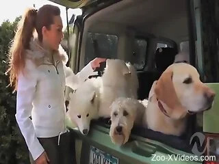 Naked women provide the best compilation with dog porn scenes
