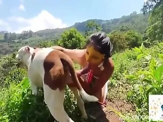 Nude sluts work their way with big dog dicks in their mouths